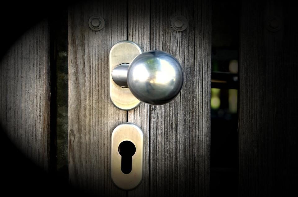 Close-up of a round knob and euro cylinder set into a dark door leaf