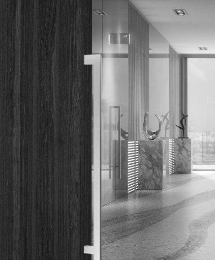 Office door with vertical pull handle